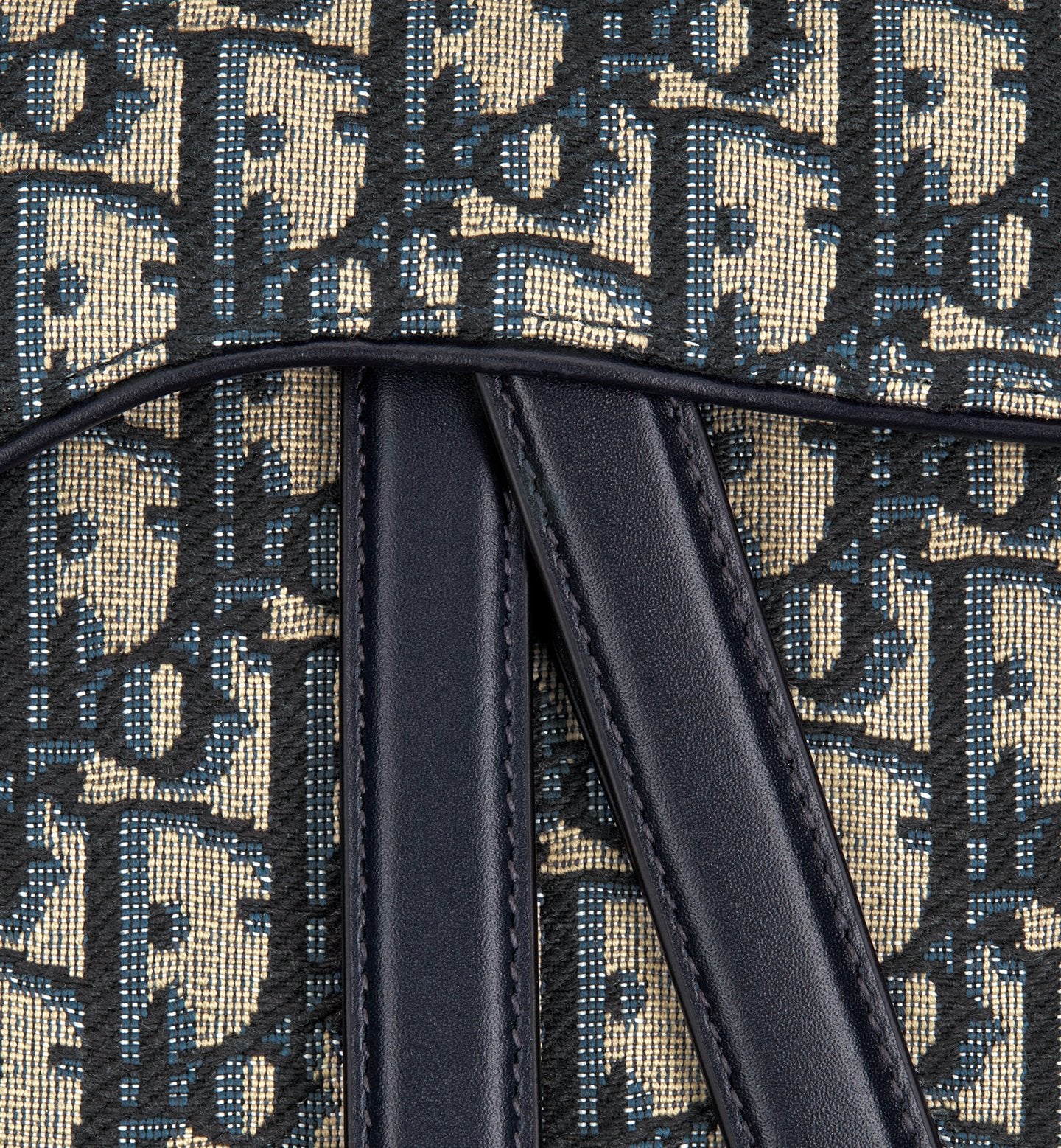 DIOR SADDLE