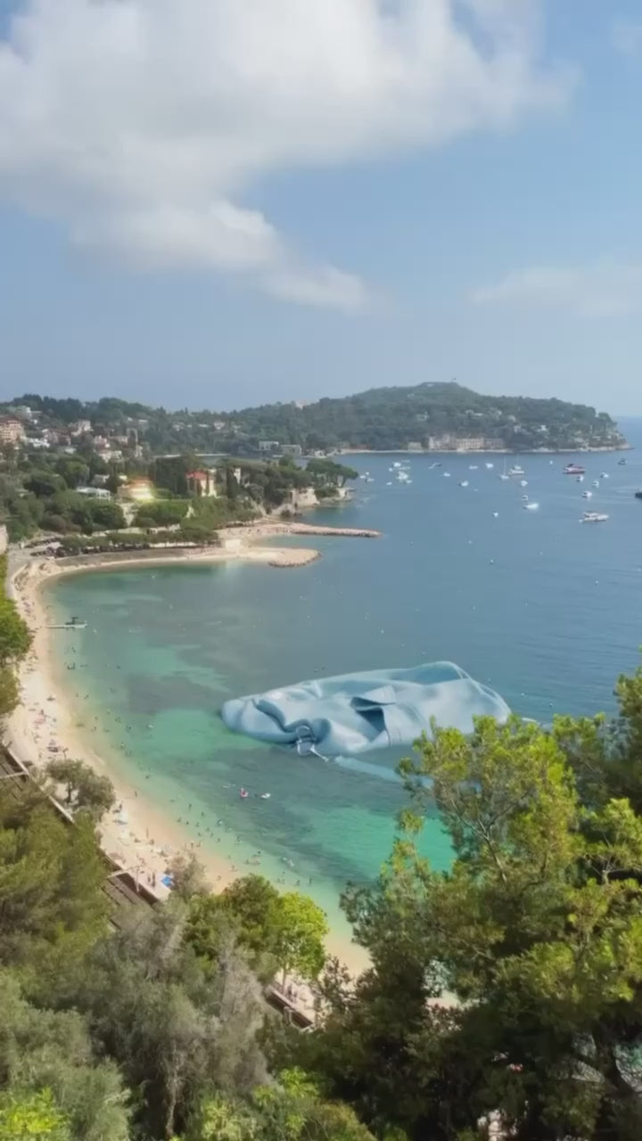 Carica il video: 